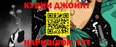 jwh Гатчина