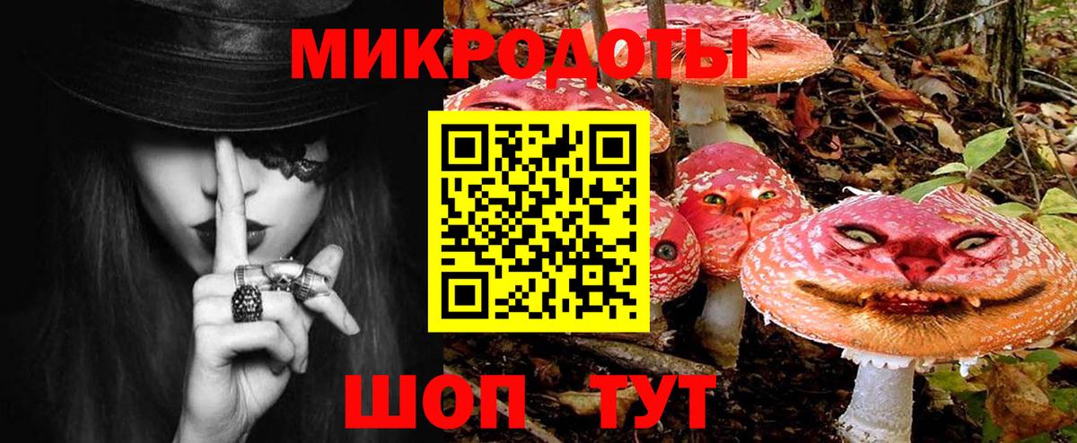 Галлюциногенные грибы Psilocybe Алушта
