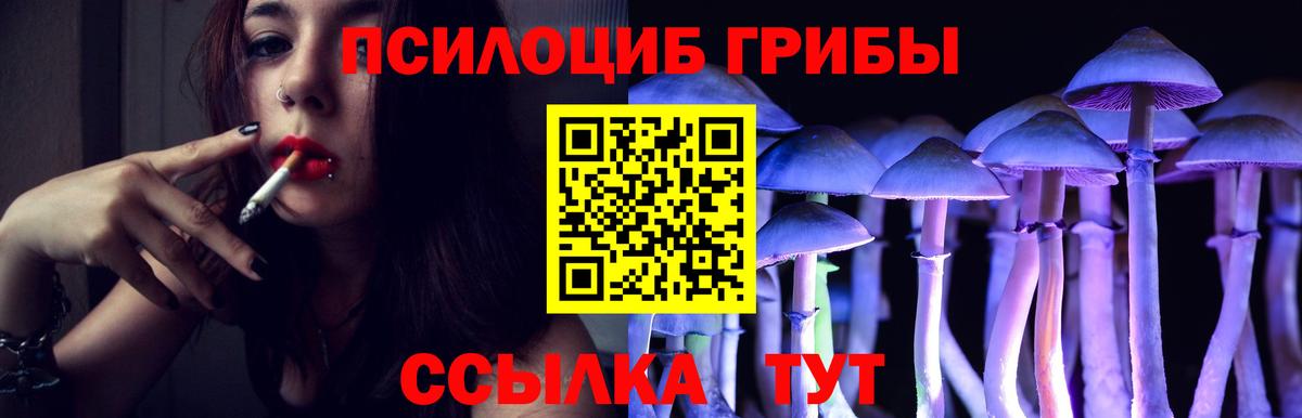 Псилоцибиновые грибы мицелий  Вход с VPN  Алушта 