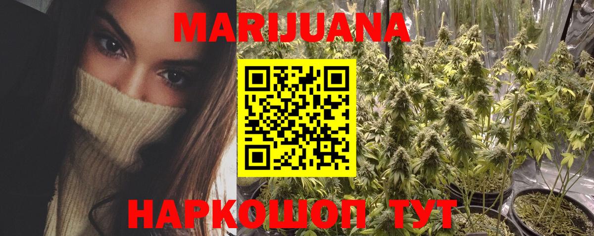 Конопля OG Kush  Бошки Шишки SATIVA & INDICA  Алушта  Каннабис сатива 